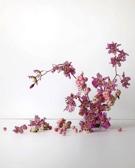 ゼレンコシジウム・フルドゥエン ルビー ジェム 'シャーリー'